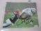 Felix Wright Browns signed 8x10 FSG COA