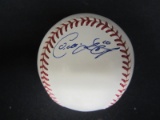 Coco Crisp Indians signed ROMLB baseball COA