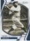 BABE RUTH 2022 ABSOLUTE #9