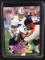 AUTHENTIC 1999 FLEER ULTRA TROY AIKMAN AUTOGRAPH SIGNED CARD W/ RED CARPET AUTHENTICS COA