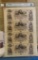 1850's Canal Bank of New Orleans Uncut Sheet $50-50-50-50 PMG CU62