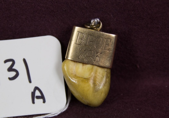 BPOE Elk Tooth set in gold or gold fill. Not marked.