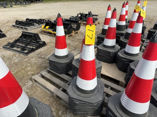25 TRAFFIC CONES