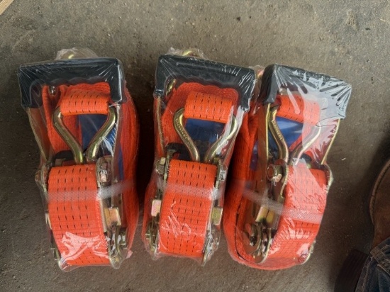 (x3) Ratchet Straps