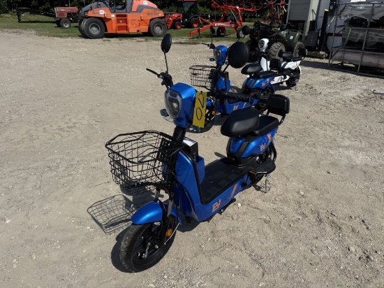 2-Wheel Electric Scooter