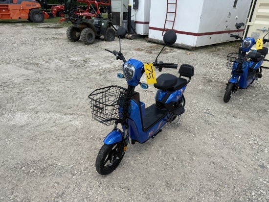 2-Wheel Electric Scooter