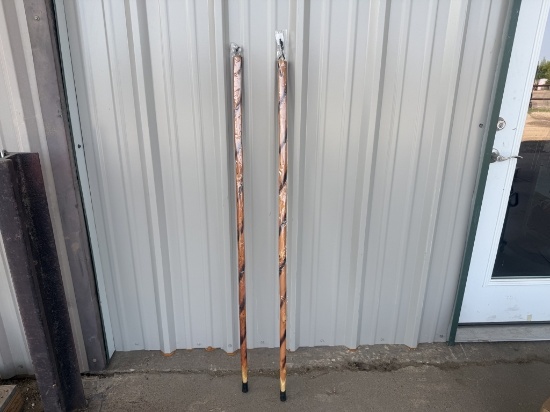 2 Walking Sticks NEW!