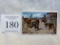 Cowboy Race With Wild Bronchos Frontier Days Cheyenne Wyoming Postcard 1945