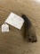 Old Original Priming Horn almost 5