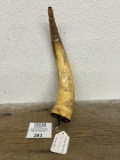 Scrimshaw Powder Horn NEW YORK COLONY Map Horn 1780