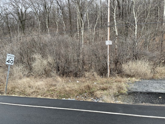 Online and Live Unreserved Real Estate Auction