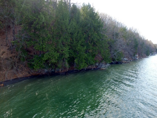PARCEL #2-Willowdale Off Hope Rd. 7.04 +/- Acre Wooded Lot on the West side of Otisco Lake