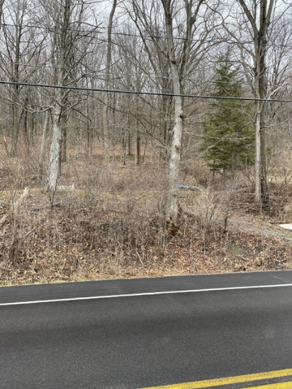 PARCEL #1 - Otisco Valley Rd, Marietta  NY  13110