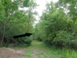 North of Middle Road