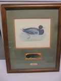 Mallard Duck Print
