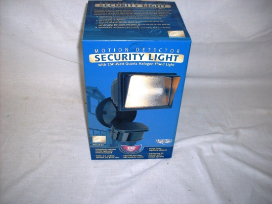 Motion Detection Security Light