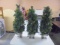 Set of 3 Lighted 2' Trees