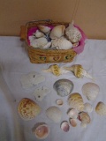 Basket of Seashells