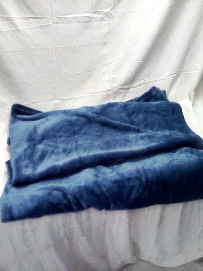 Threshold Microplush Blue Full/Queen Blanket