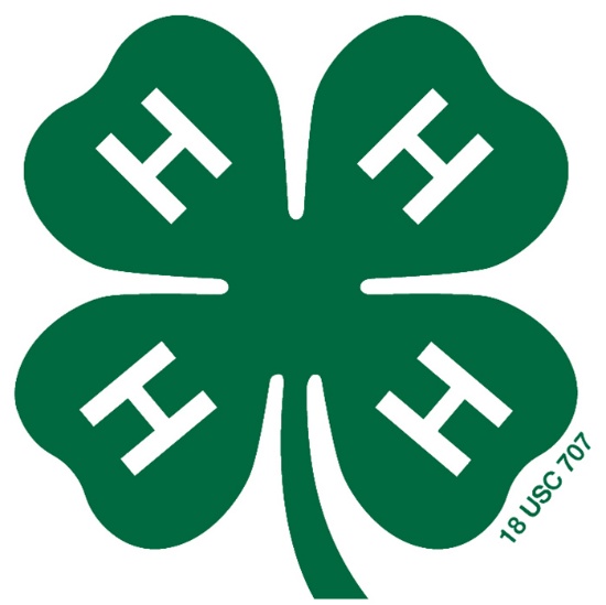 4-H Council Fundraising Auction