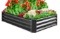 Outdoor Metal Raised Garden Bed for Vegetables, Flowers, Herbs - 6x3x1ft