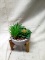 Garden Party Wooden Stand Artificial Succulent