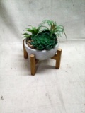 Garden Party Wooden Stand Artificial Succulent