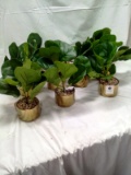 Qty. 10 artificial succulents