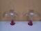 2 Matching Wild Birds Unlimited Bird Feeders