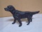 Iron Pointer Dog