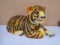 Large Tiger Chalk Bank