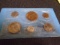 1981 Denver Mint Souvenir Coin Set