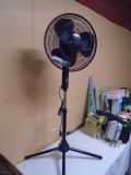 Like New Comfort Zone 3 Speed Oscillating Pedistal Fan
