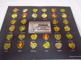 Complete Set of Limited Edition 10th Pan-Am Games Pins