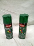 Two Cans Krylon ColorMaxx Paint Primer Combo Gloss Emerald Green