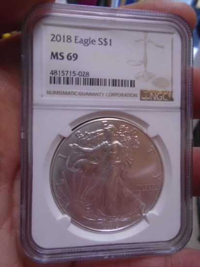 2018 Silver Eagle