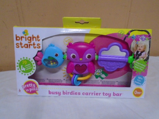 Bright Starts Busy Birdies Carrier Toy Bar