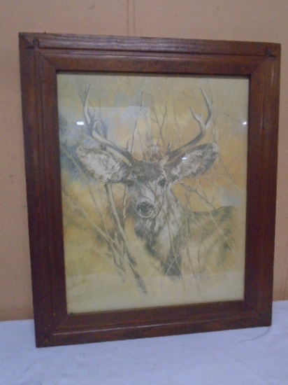 Framed Buck Deer Print Under Glass