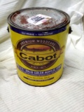 Cabot Premium Wood Care 1 Gallon Pro VT Acrylic Stain 0806 Base