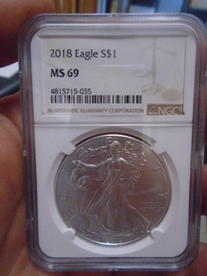 2018 Silver Eagle