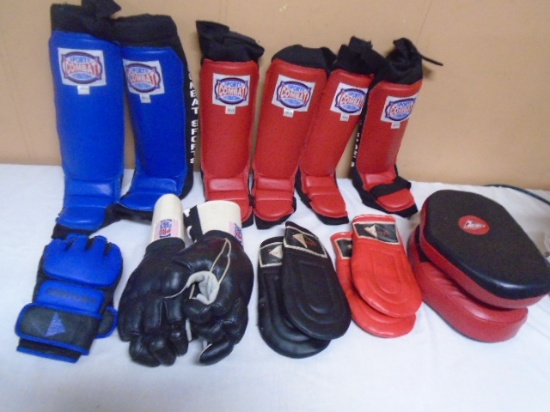 Group of MMA Training Pads & Gloves