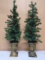 2 Matching 40in Tall Lighted Potted Trees