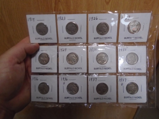 Group of (12) Buffalo Nickels