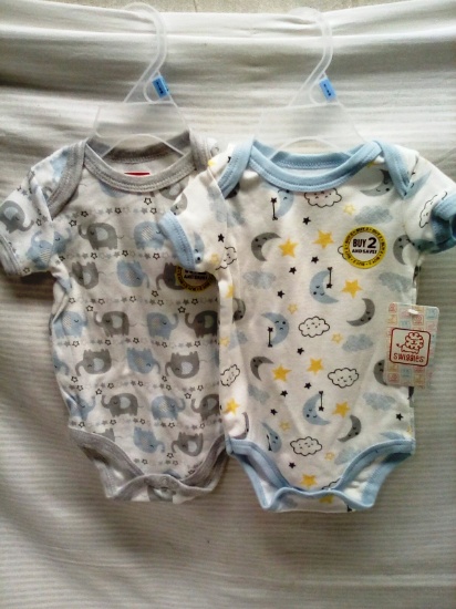 Pair of Onesies Size 3-6 Months