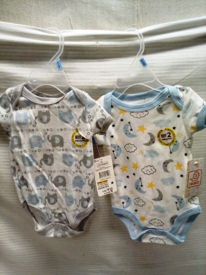 Pair of Onesies Size 0-3 Months