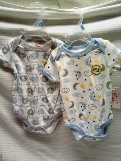 Pair of Onesies Size 6-9 Months