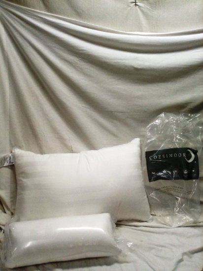 Qty: 2 Cozsinoor Luxury Collection Pillows