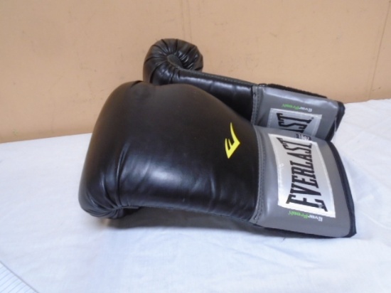 Brand New Pair of 16 Oz. Everlast Boxing Gloves