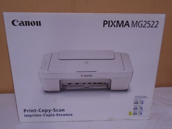 Canon Pixma MG 2522 Printer