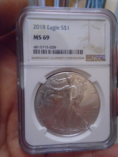 2018 Silver Eagle